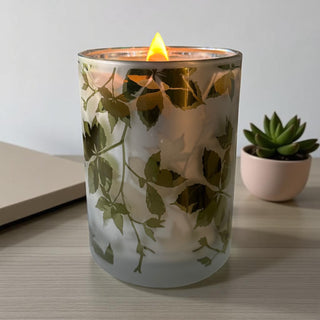 Bougie parfumée 100 heures lierre