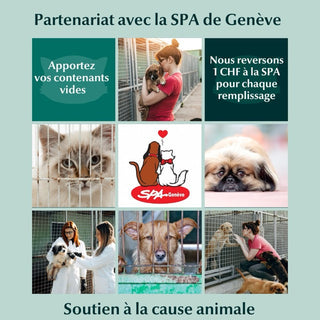 Miaou Candle en partenariat avec la SPA de Genève