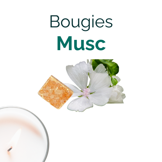 parfum bougie