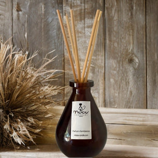 Parfums d'ambiance à tiges