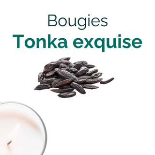 Tonka exquise