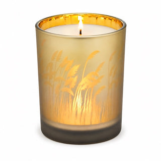Grande Bougie parfumée durée 100 heures - mèche en bois