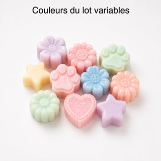 Fondants parfumés pour brûleur