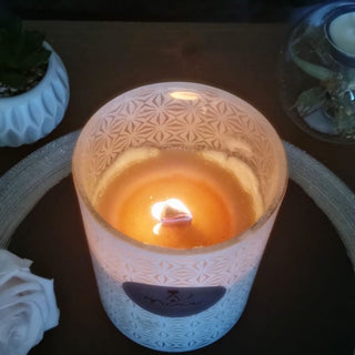 Miaou Candle Bougie parfumée 100 heures de senteurs - mèche en bois